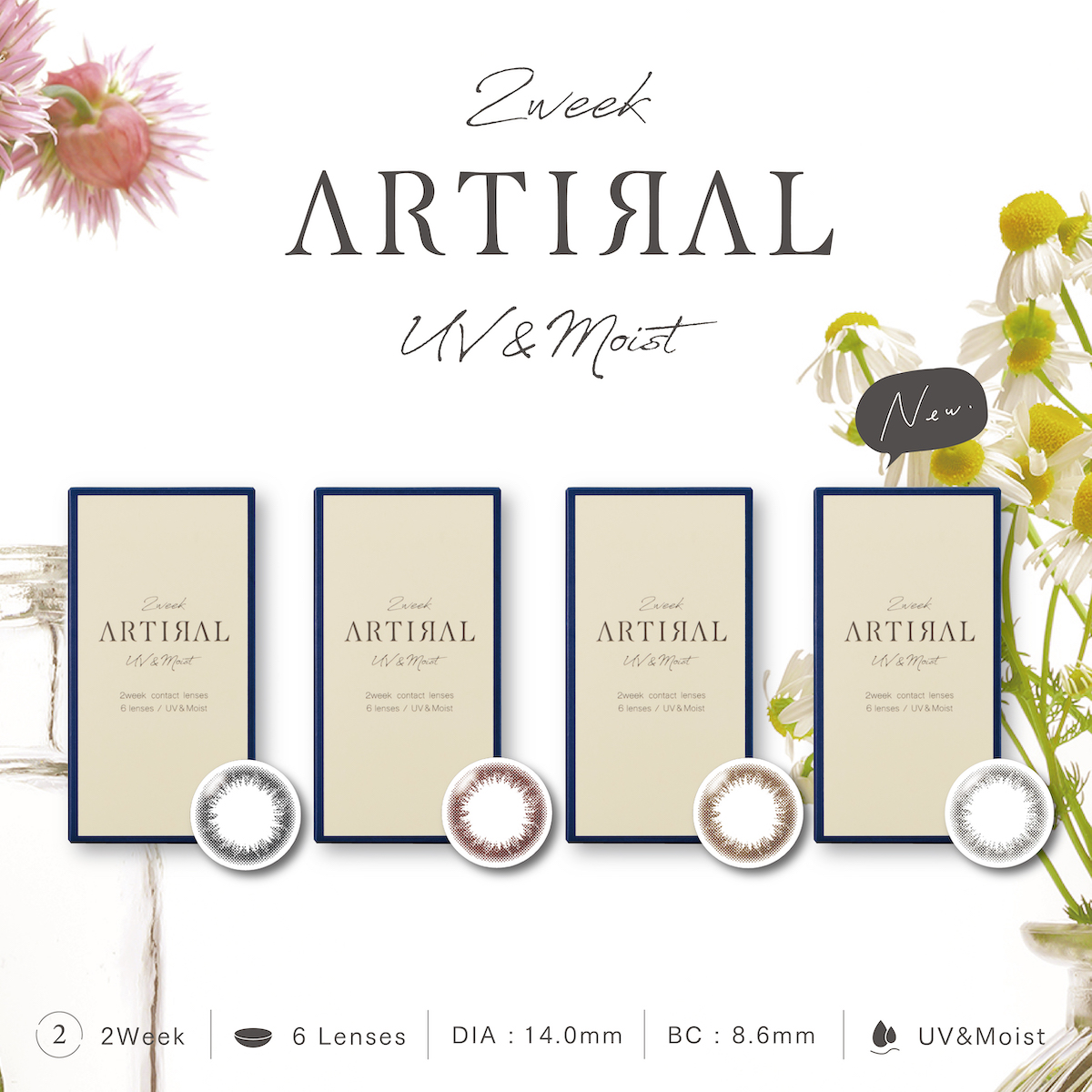 artiral 2weekアーティラルスペリア2ウィーク