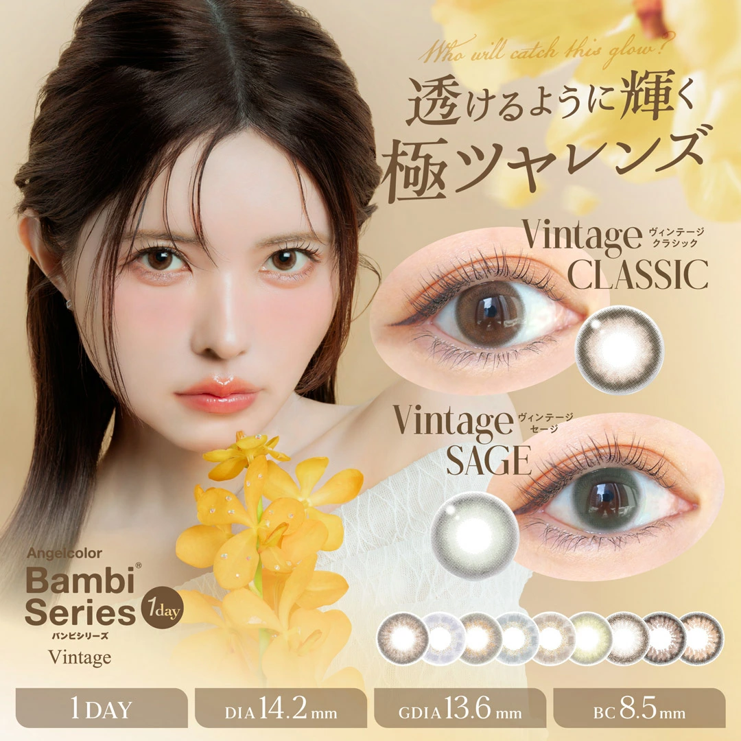 angelcolor bambi vintage 10枚 エンジェルカラーバンビシリーズヴィンテージ